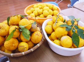 2021年12月デイの風景