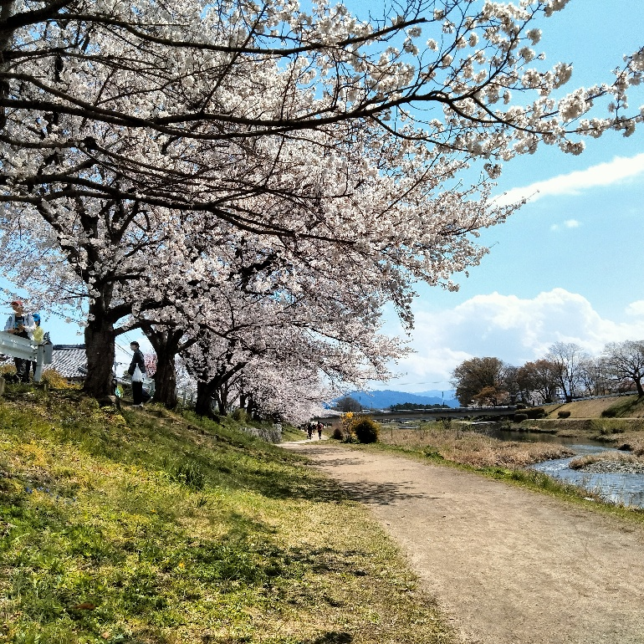 寄り添うこと・・・(149)